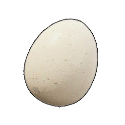 Palworld Egg